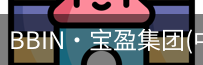 BIN宝盈集团